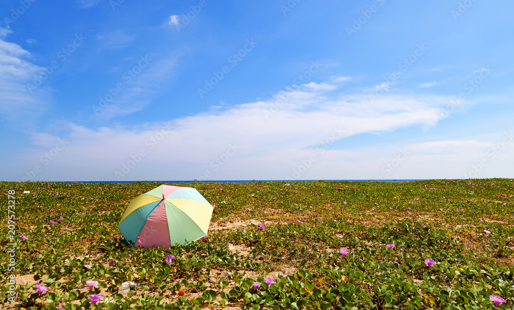 Colourful umbrella on the beach in summer season.