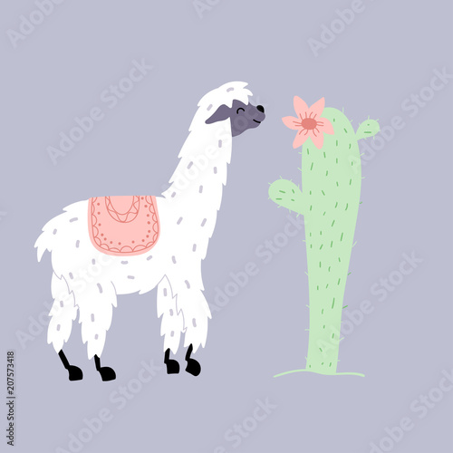 Vector illustration of  llama