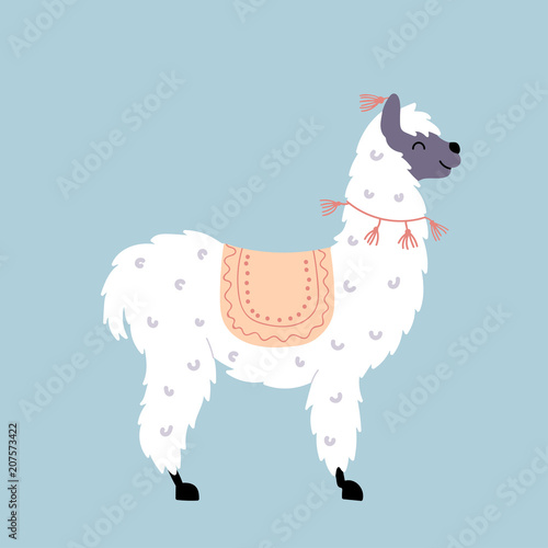 Vector illustration of  llama