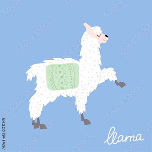 Vector illustration of  llama