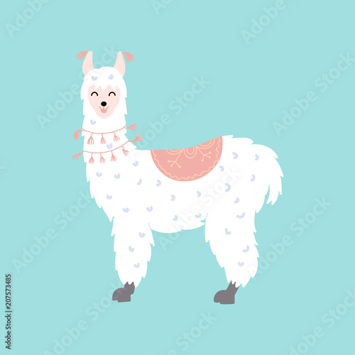 Vector illustration of  llama