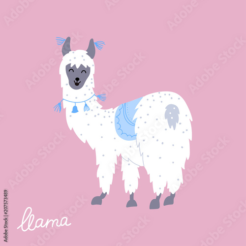 Vector illustration of  llama