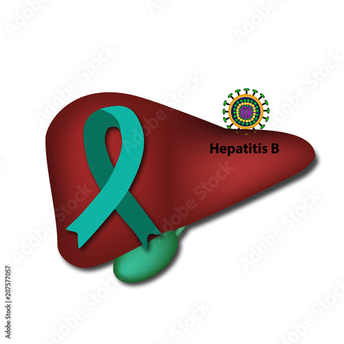 Jade ribbon on the liver. Hepatitis B virus. World Hepatitis Day. Vector illustration on isolated background.