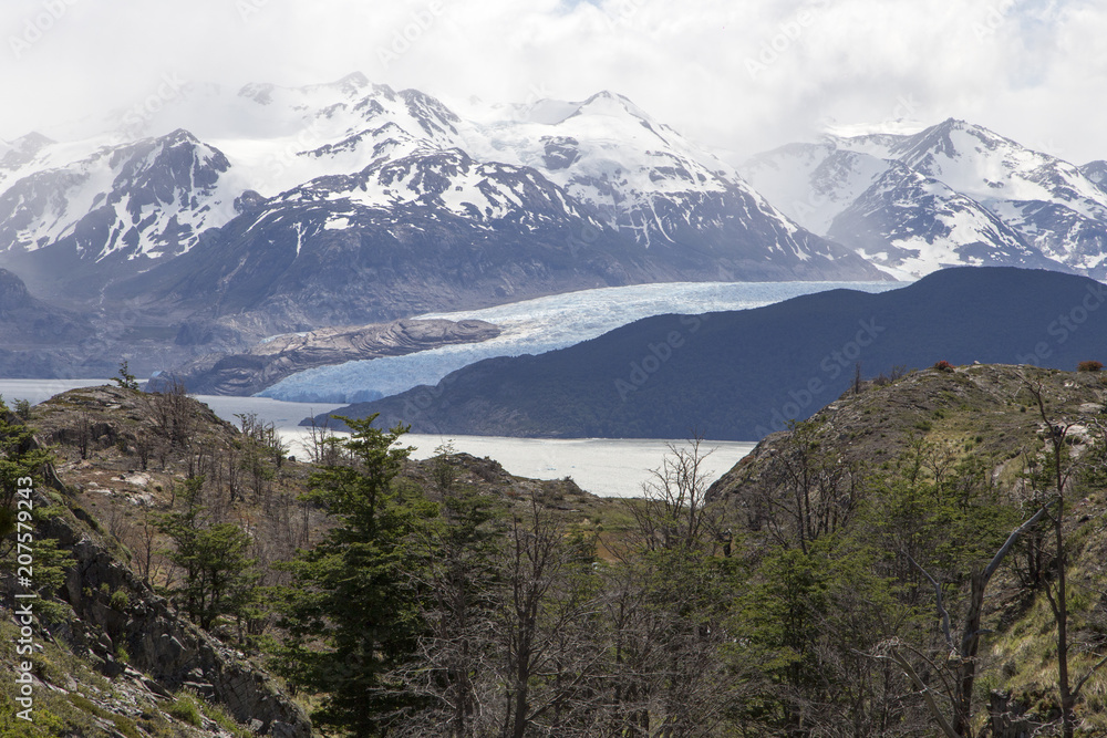 paisagem da patagônia com vista para o glaciar Grey em torres del apine