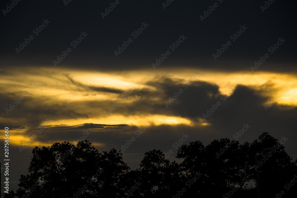 storm cloud trees silhouette background