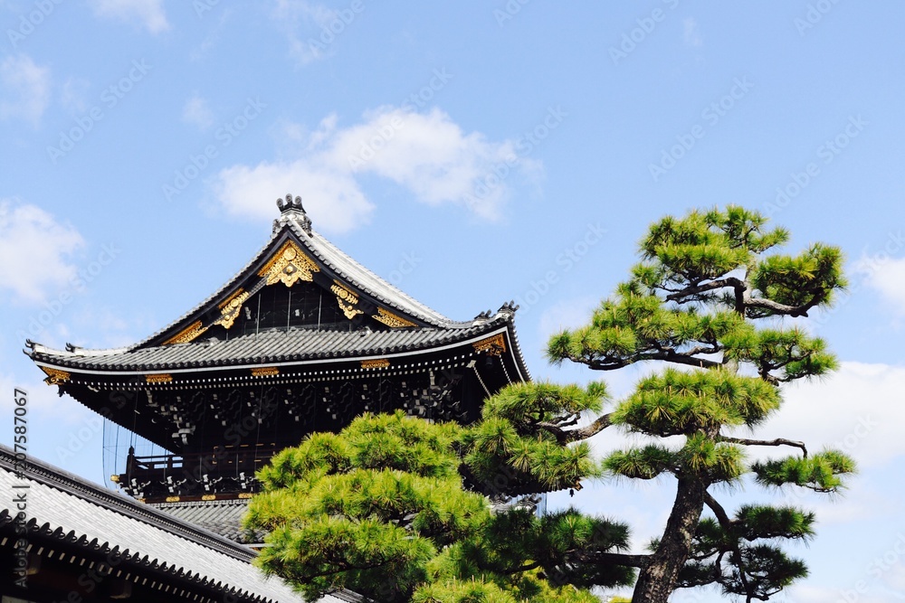 Fototapeta premium Photos from Walking in Hiroshima