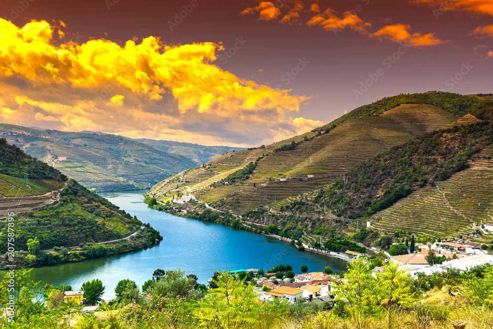 River Douro region at sunrise - obrazy, fototapety, plakaty 