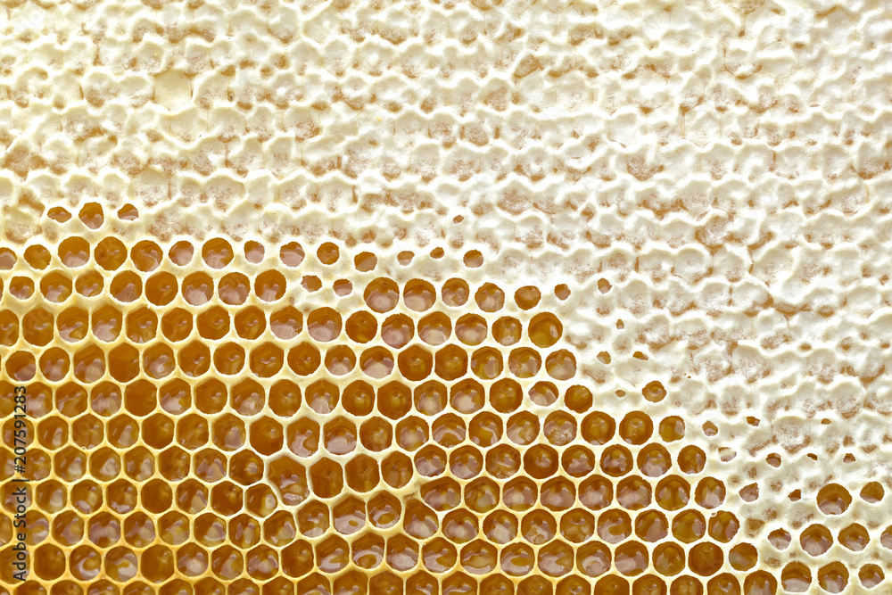 Honey cell is filled with fresh honey. Natural background. Apiculture. Honey cell is filled with fresh honey. Natural background. Apiculture.