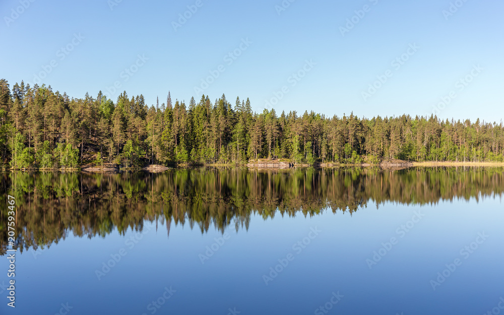 Obraz premium shore of the forest lake
