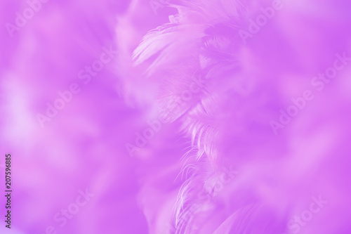 Bird and chickens feather texture for background Abstract blur style and soft color of art design.for mobile case