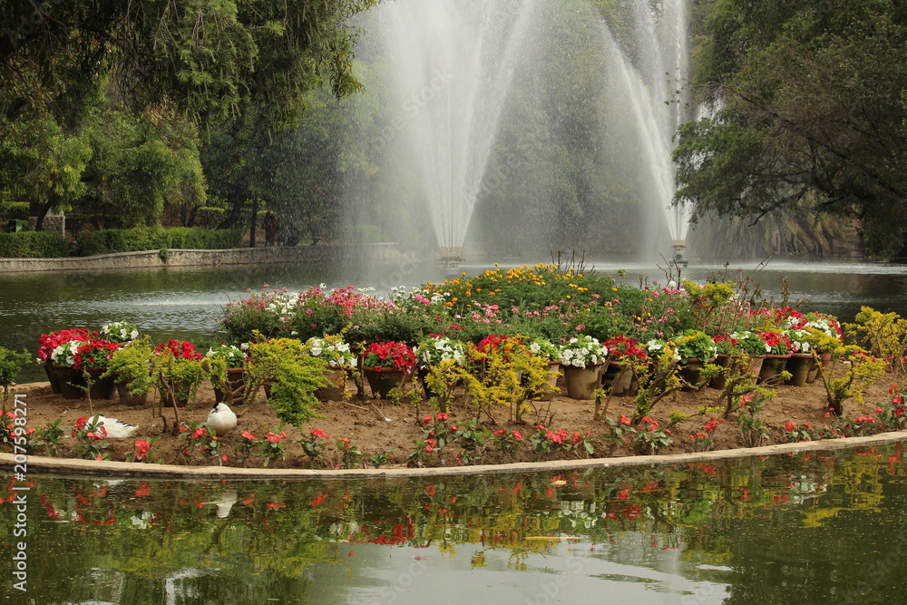 Colorful spring flowers and fountains in Lodi Gardens, New Delhi Stock
