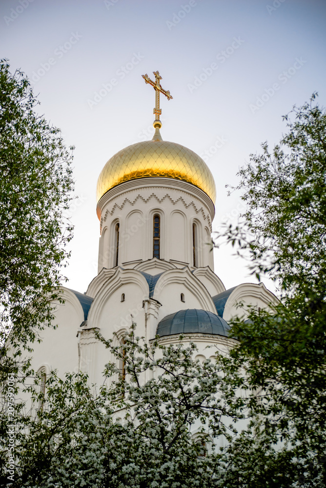 The dome of the Orthodox Church surrounded by flowering Apple trees