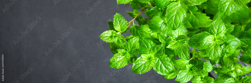 Fresh homemade green peppermint on a gray dark concrete table. Fresh homemade green peppermint on a gray dark concrete table.
