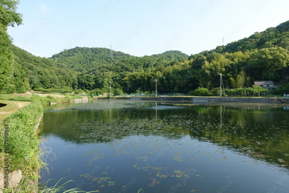 日本の山の中の池