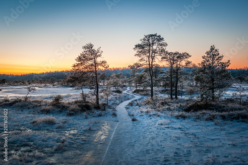 Wooden path through marsh covered with snow. Beautiful winter evening and cold frosty winter sunset. Selective focus. Kakerdaja nature trail. Estonia. photo