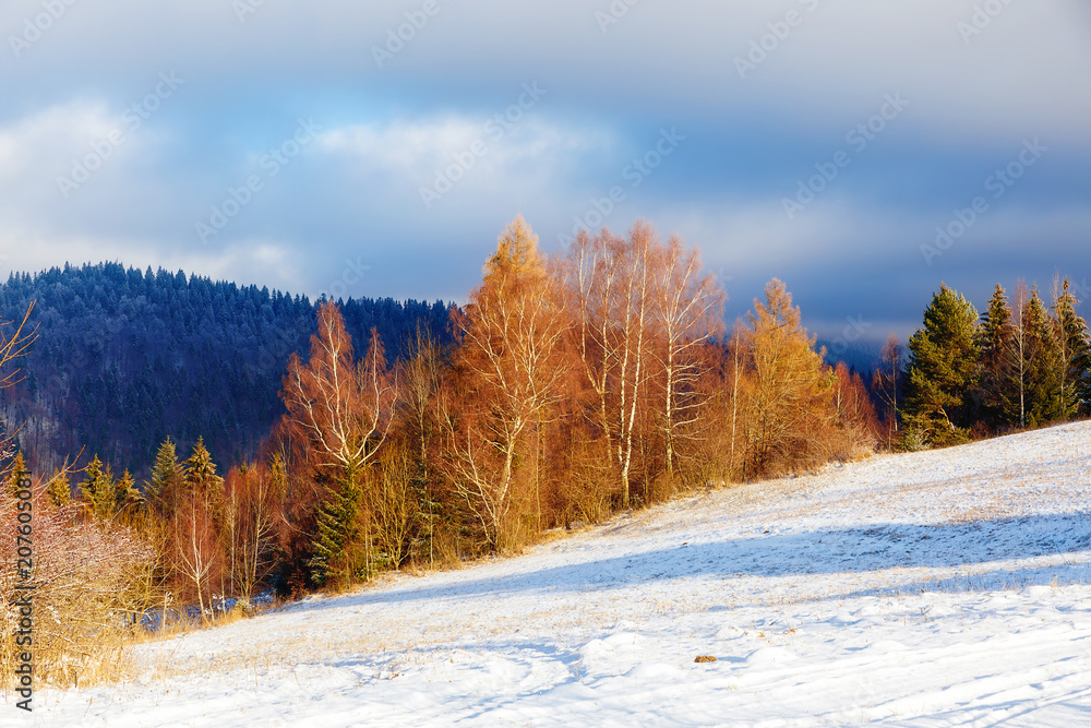 Fototapeta premium Beautiful mountain snowy landscape. Beautiful sunny day in the mountains.