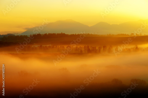 Fototapeta Naklejka Na Ścianę i Meble -  A beautiful morning landscape with sunshine and fog.