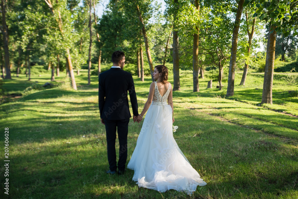 Bride and groom walking and holding hands on a meadow Bride and groom walking and holding hands on a meadow