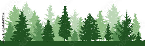 Trees pine, fir, spruce, christmas tree. Coniferous forest, vector silhouette. Evergreen Forest, vector