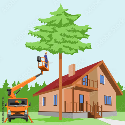 Cutting off the tree from a truck mounted aerial platform. A worker with a chainsaw in the truck tower basket is going to cut a large tree that threatens the house.