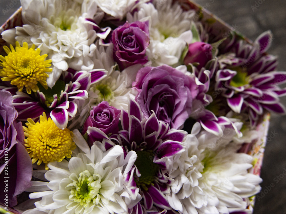composition of fresh cut flowers composition of fresh cut flowers