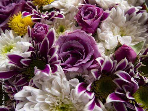 composition of fresh cut flowers