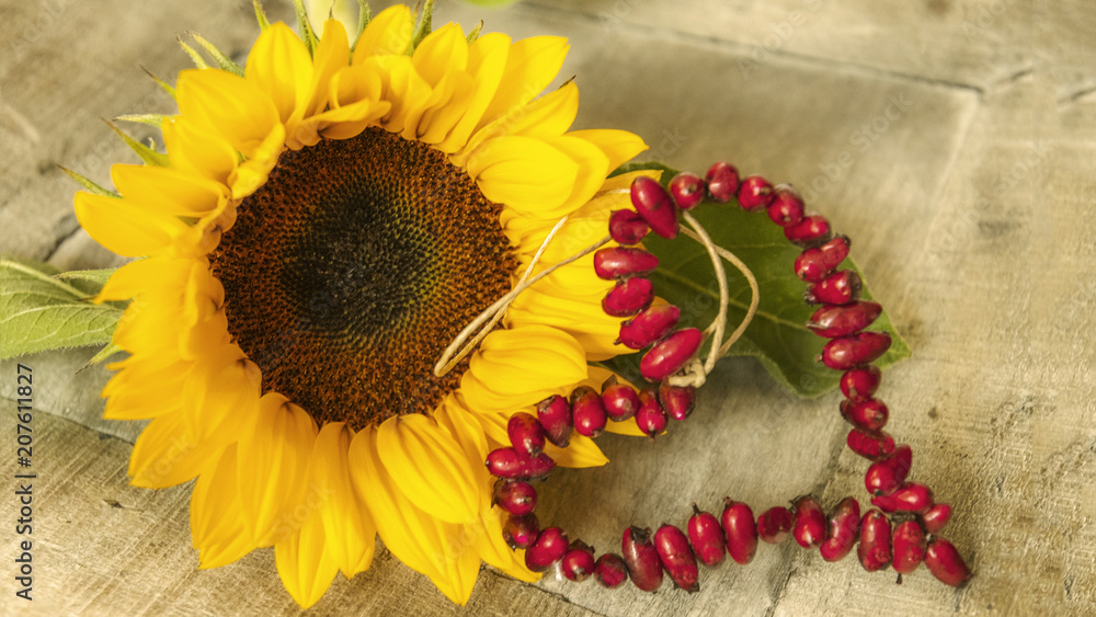 Dekoration mit Sonnenblumen, rotes Herz mit Hagebutten - Decoration with  sunflower, red heart with rose hips Stock Photo | Adobe Stock