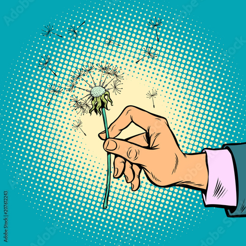 dandelion in a man hand