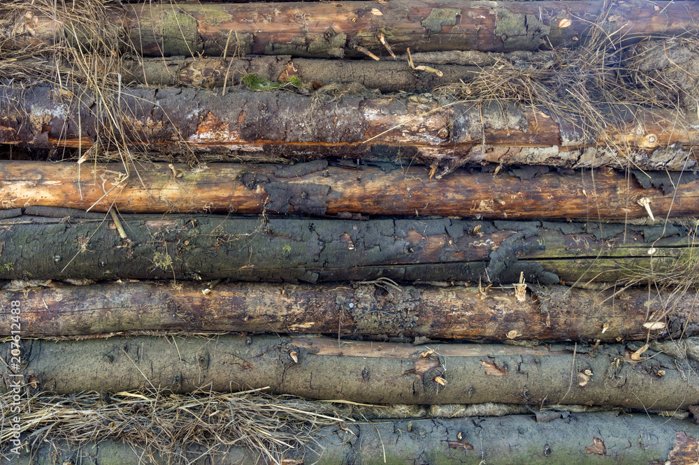 The texture of wooden logs. The wall of the shed. The texture of wooden logs. The wall of the shed.
