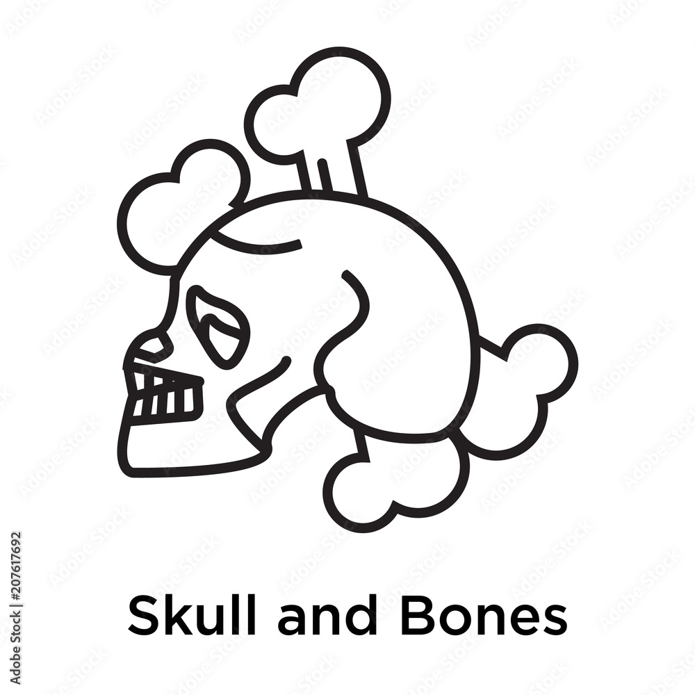 Skull and Bones icon vector sign and symbol isolated on white background, Skull and Bones logo concept
