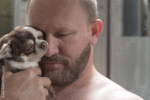 A bearded man hugs a small dog breed Chihuahua.