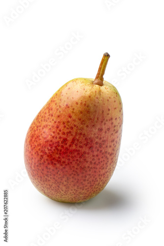 A pear sort of salmon isolated with shadow on white background