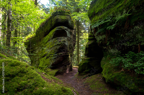 Felsenwald von Dabo in den Vogesen