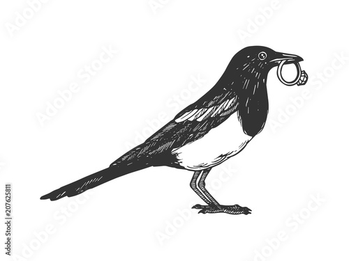 Obraz na płótnie Magpie bird with golden ring engraving vector