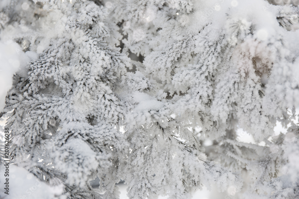 Snow-cowered fir branches. Winter blur background. Frost tree Snow-cowered fir branches. Winter blur background. Frost tree