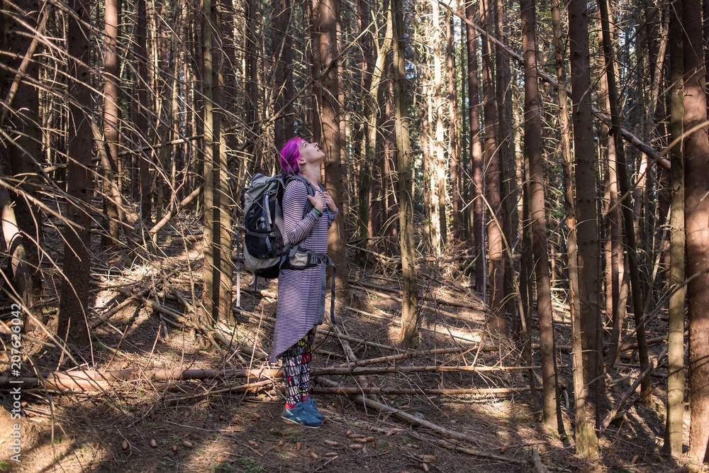 Hiker looks up in a wood Hiker looks up in a wood