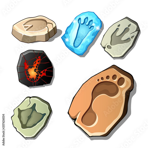 A set of footprints of fossil animals and man isolated on white background. Vector cartoon close-up illustration.