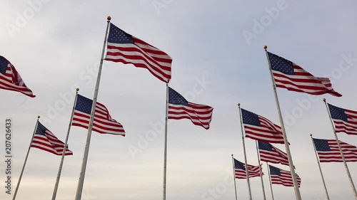 Flags, Liberty State Park, New Jersey, New York, USA photo