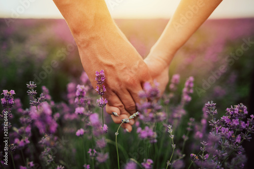 Obraz na płótnie Couple holding hands in lavender field.Young people caught a beautiful summer sunset w salonie