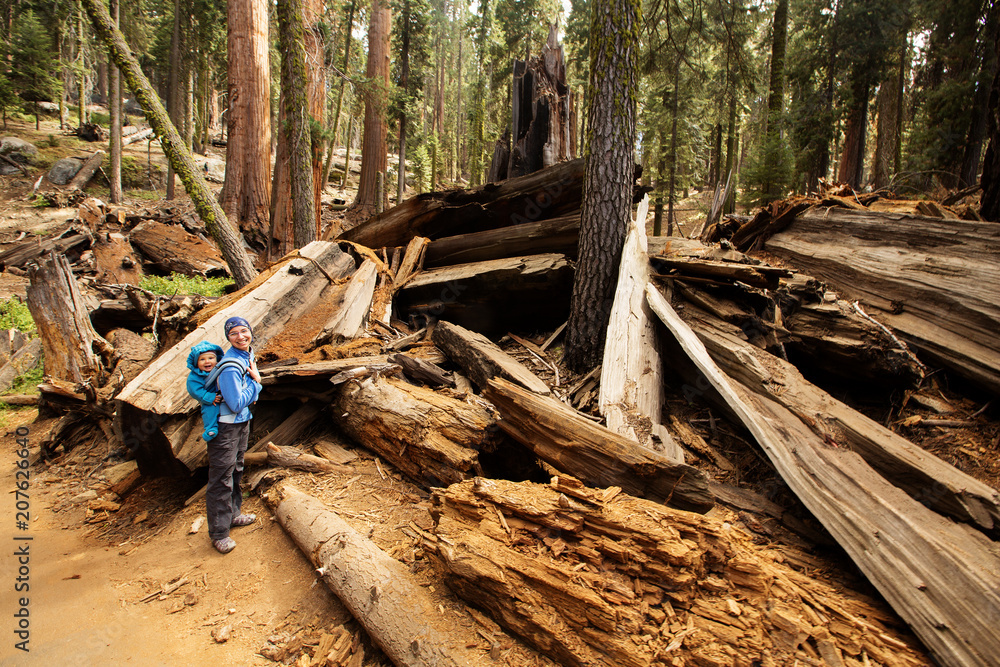 Mother with infant visit Sequoia national park in California, USA Mother with infant visit Sequoia national park in California, USA
