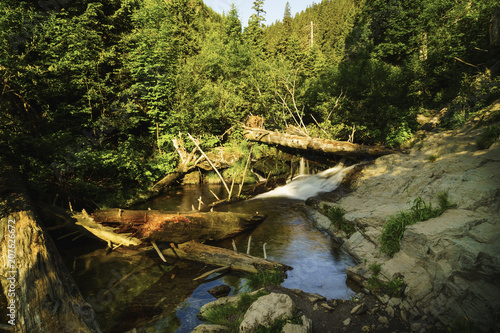 Bila Opava (White Opava)  is a wild mountain stream in the Jeseniky mountains photo