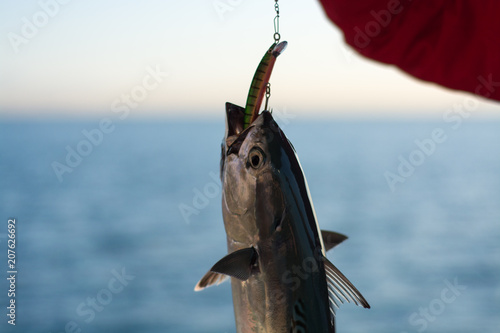 catching fish in the sea