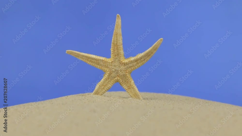 Zoom of beautiful starfish lying on the sand. Isolated Zoom of beautiful starfish lying on the sand. Isolated