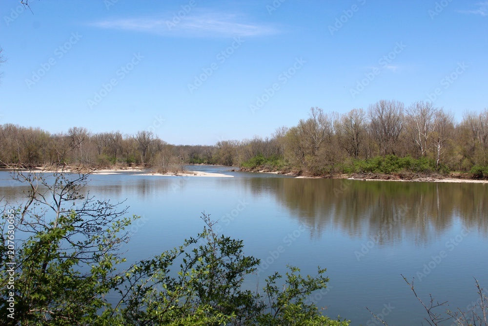 Obraz premium A view of the river over the spring branch on the bank.