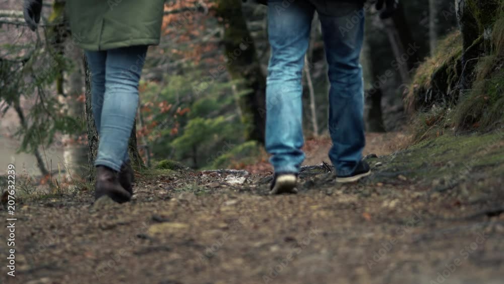 Romantic Journey - Unidentified Couple In Love Walks Holding By Hands In Warm Clothes In The Autumn Picturesque Forest And Admiring The View Romantic Journey - Unidentified Couple In Love Walks Holding By Hands In Warm Clothes In The Autumn Picturesque Forest And Admiring The View
