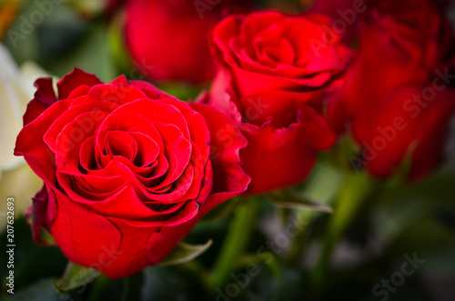 mix bunch of roses close up