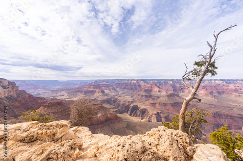 South rim of Grand Canyon photo