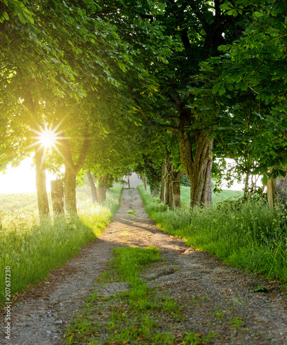 Weg in die Sonne