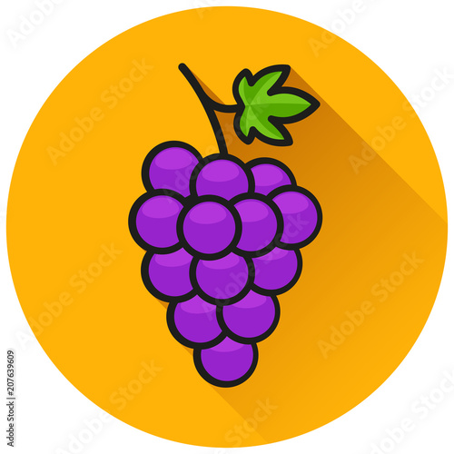 grapes circle flat icon concept