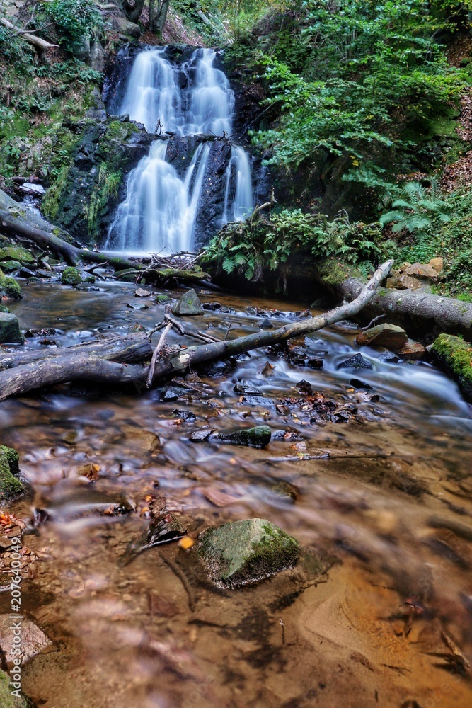 Obraz premium Wasserfall im Wald - Schweden